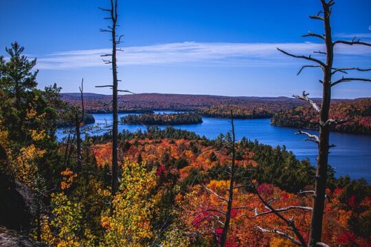 Algonquin Provincial Park Full Day Trip