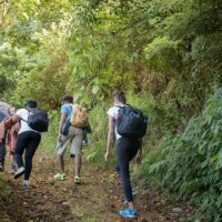 Overnight Tours