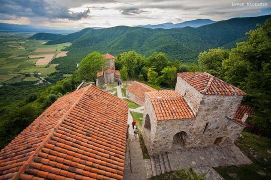 The Cradle Of Wine