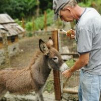 Cultural & Theme Tours