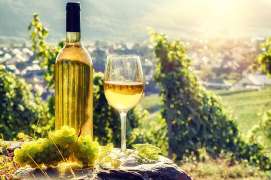 Romanian Wine Tasting