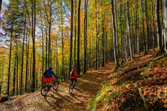 Ljubljana MTB trail