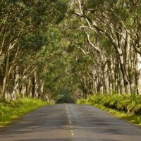 Multi-day Tours