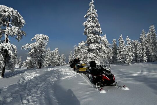 Snowmobile Safari to the Wilderness