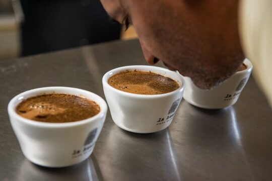 Coffee Tasting Experience