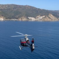 Transfers & Ground Transport