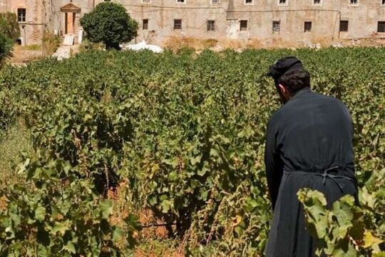 Wine & Olive Oil tasting one day private tour in Crete