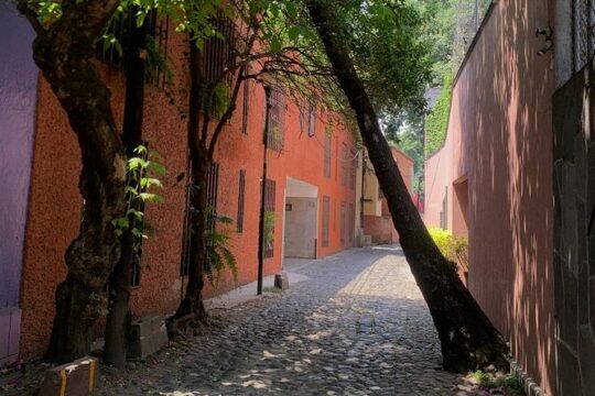Guided tour of the Coyoacán neighborhood and the Leon Trotsky museum