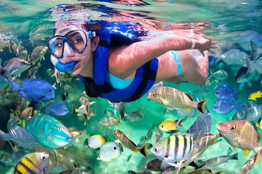 Xelha-Isla Mujeres Promo