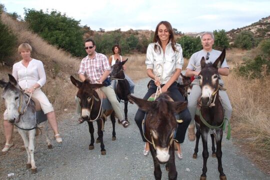 Alanya Donkey Safari and Village Tour with Lunch and Transfer