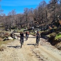 Walking & Biking Tours