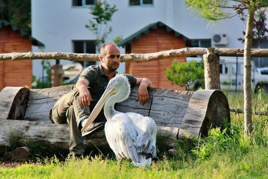 Divjaka & Karavasta Lagoon Boat Trip from Durres