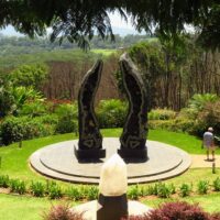 Sightseeing Tickets & Passes
