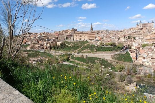 Private Transfer Car with driver from Madrid to Airport