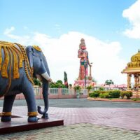 Tours & Sightseeing