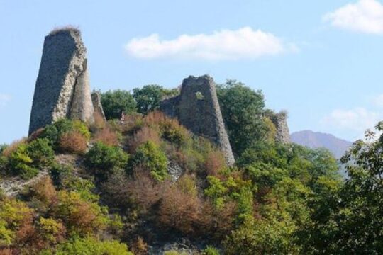 Cradle of Wine - Ujarma, Tsinandali, Gremi