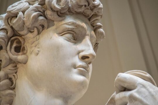 David & Accademia Gallery Florence Private Tour with Local Guide