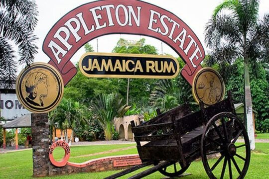Private Black River and Appleton Rum Tour From Negril