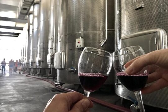 Kakheti-Sighnaghi Day Trip with wine tasting and Bodbe Monastery