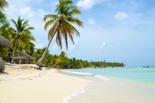 Saona Island Day Trip