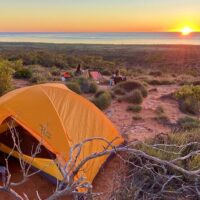 Multi-day & Extended Tours