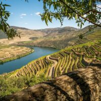 Cultural & Theme Tours