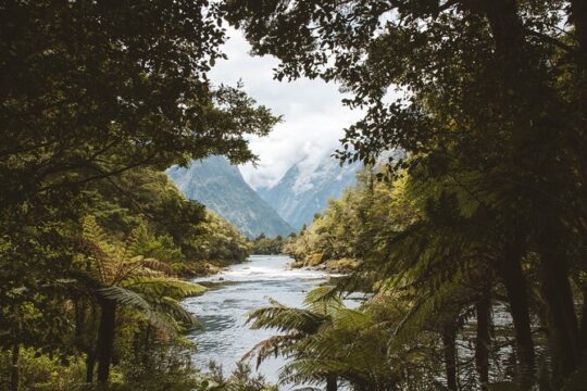 Milford Track Transport - Water Taxis