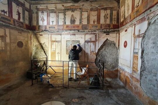Shared Pompeii Walking Tour Experience of the Latest Discoveries
