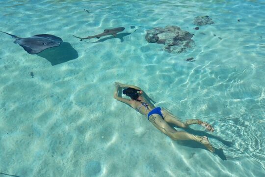Private Marine Excursion and snorkeling in the lagoon of Moorea