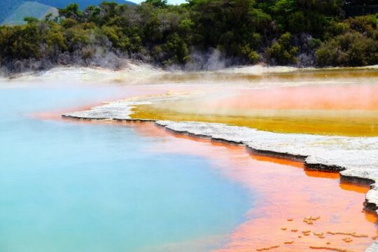 Tauranga to Rotorua Geysers & WaioTapu Wonderland. Private Tour