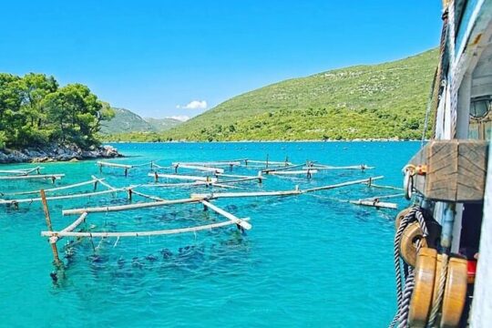 Oyster farm experience private day trip from Dubrovnik