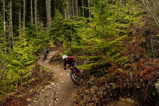 4 Hours Guided Mountain Bike Tour