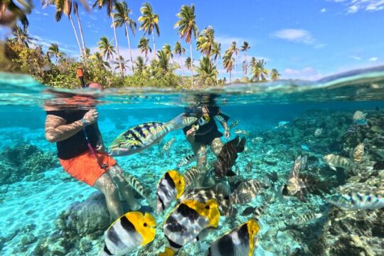 6-Hour JetSki Excursion around Taha'a
