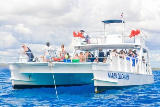 Full Day Snorkeling in Catalina Island with Transportation and Lunch