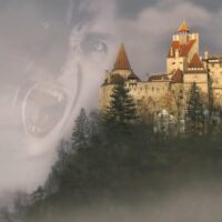 Holiday & Seasonal Tours