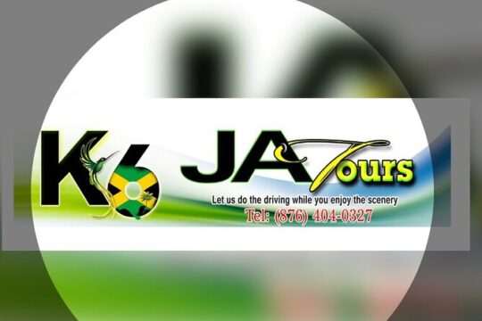 VYBZ KARTEL FREEDOM STREET CONCERT— Round trip Pickup December 31