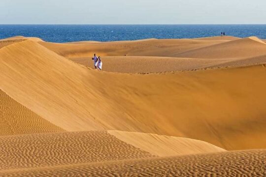 Rent a Mountain Bike from 9 hours until 7 Days in Maspalomas