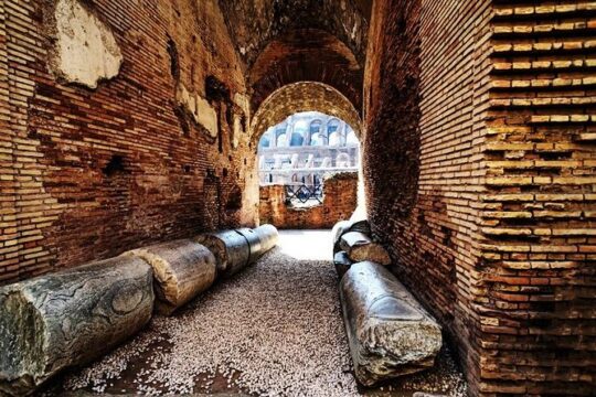 Colosseum Arena and Roman Forum Exclusive Private Guided Tour
