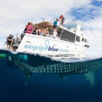 Private & Custom Tours