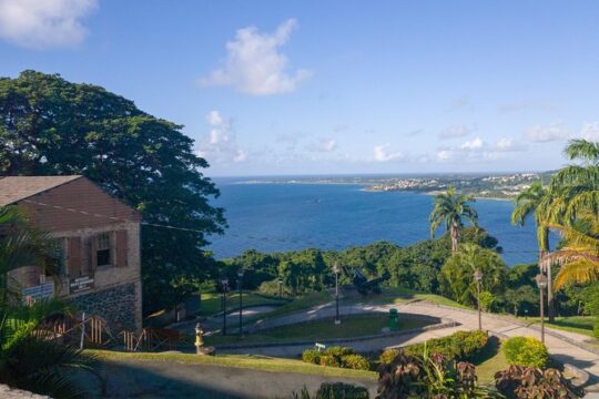 Tobago Island Tour