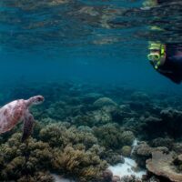 Multi-day & Extended Tours