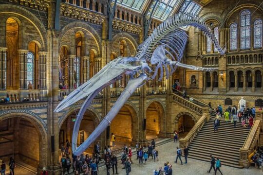 Private Walking Tour of British Museum