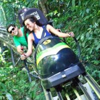 Tours & Sightseeing