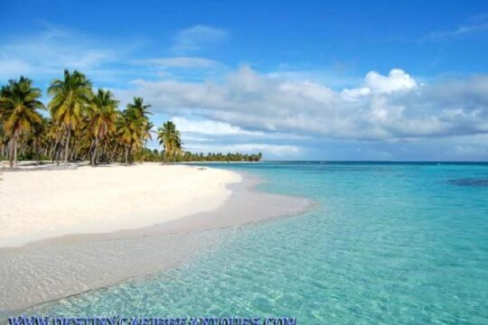 Saona Island VIP - Full Day All Inclusive Excursion!