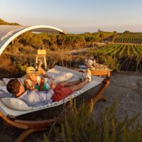 Wine Tasting & Winery Tours