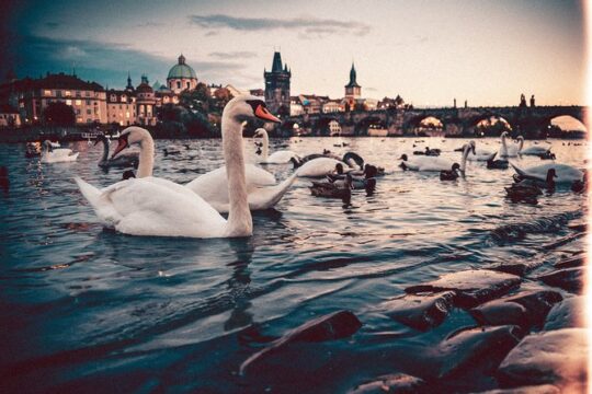 Budapest to Prague - Private Transfer with 2 hours of Sightseeing