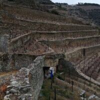 Walking & Biking Tours
