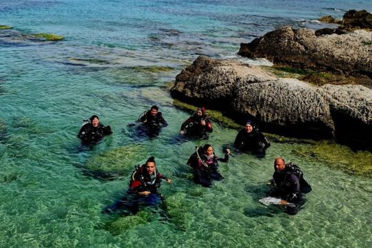 3-Hour Try Scuba Private Guided Sea Baptism from Palermo