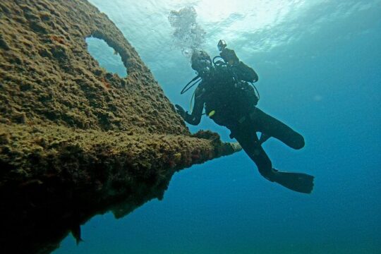 Fun dive -2 dives