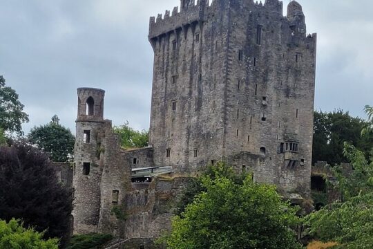 Cultural Tour in Blarney Castle, Midleton Distillery, and Cobh